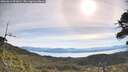 ./images/calvert/fitz-hugh-hecate/20260614/fitz-hugh-hecate20260614_091001M.jpg