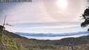 ./images/calvert/fitz-hugh-hecate/20260614/fitz-hugh-hecate20260614_092001M.jpg