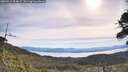 ./images/calvert/fitz-hugh-hecate/20260614/fitz-hugh-hecate20260614_094001M.jpg