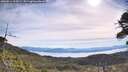./images/calvert/fitz-hugh-hecate/20260614/fitz-hugh-hecate20260614_094501M.jpg