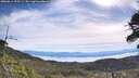 ./images/calvert/fitz-hugh-hecate/20260614/fitz-hugh-hecate20260614_095501M.jpg