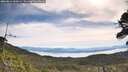 ./images/calvert/fitz-hugh-hecate/20260614/fitz-hugh-hecate20260614_100501M.jpg