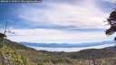 ./images/calvert/fitz-hugh-hecate/20260614/fitz-hugh-hecate20260614_102001M.jpg