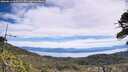./images/calvert/fitz-hugh-hecate/20260614/fitz-hugh-hecate20260614_111501M.jpg