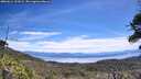 ./images/calvert/fitz-hugh-hecate/20260614/fitz-hugh-hecate20260614_121002M.jpg