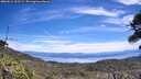 ./images/calvert/fitz-hugh-hecate/20260614/fitz-hugh-hecate20260614_123501M.jpg