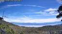 ./images/calvert/fitz-hugh-hecate/20260614/fitz-hugh-hecate20260614_124502M.jpg