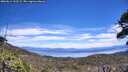 ./images/calvert/fitz-hugh-hecate/20260614/fitz-hugh-hecate20260614_133502M.jpg