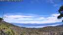 ./images/calvert/fitz-hugh-hecate/20260614/fitz-hugh-hecate20260614_134001M.jpg