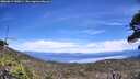 ./images/calvert/fitz-hugh-hecate/20260614/fitz-hugh-hecate20260614_140001M.jpg