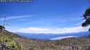 ./images/calvert/fitz-hugh-hecate/20260614/fitz-hugh-hecate20260614_141501M.jpg
