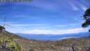 ./images/calvert/fitz-hugh-hecate/20260614/fitz-hugh-hecate20260614_143501M.jpg
