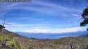 ./images/calvert/fitz-hugh-hecate/20260614/fitz-hugh-hecate20260614_144001M.jpg
