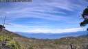 ./images/calvert/fitz-hugh-hecate/20260614/fitz-hugh-hecate20260614_145001M.jpg
