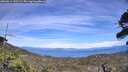 ./images/calvert/fitz-hugh-hecate/20260614/fitz-hugh-hecate20260614_145502M.jpg
