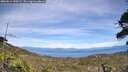 ./images/calvert/fitz-hugh-hecate/20260614/fitz-hugh-hecate20260614_150501M.jpg