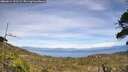 ./images/calvert/fitz-hugh-hecate/20260614/fitz-hugh-hecate20260614_151502M.jpg