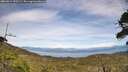 ./images/calvert/fitz-hugh-hecate/20260614/fitz-hugh-hecate20260614_152502M.jpg