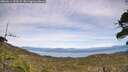 ./images/calvert/fitz-hugh-hecate/20260614/fitz-hugh-hecate20260614_153501M.jpg