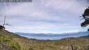 ./images/calvert/fitz-hugh-hecate/20260614/fitz-hugh-hecate20260614_154001M.jpg