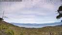 ./images/calvert/fitz-hugh-hecate/20260614/fitz-hugh-hecate20260614_154501M.jpg