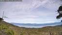 ./images/calvert/fitz-hugh-hecate/20260614/fitz-hugh-hecate20260614_155001M.jpg