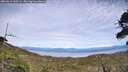 ./images/calvert/fitz-hugh-hecate/20260614/fitz-hugh-hecate20260614_160501M.jpg