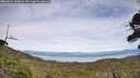 ./images/calvert/fitz-hugh-hecate/20260614/fitz-hugh-hecate20260614_161001M.jpg