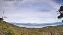 ./images/calvert/fitz-hugh-hecate/20260614/fitz-hugh-hecate20260614_161501M.jpg