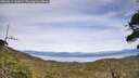 ./images/calvert/fitz-hugh-hecate/20260614/fitz-hugh-hecate20260614_162002M.jpg