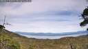 ./images/calvert/fitz-hugh-hecate/20260614/fitz-hugh-hecate20260614_162501M.jpg