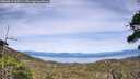 ./images/calvert/fitz-hugh-hecate/20260614/fitz-hugh-hecate20260614_163501M.jpg