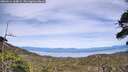 ./images/calvert/fitz-hugh-hecate/20260614/fitz-hugh-hecate20260614_164001M.jpg