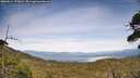 ./images/calvert/fitz-hugh-hecate/20260614/fitz-hugh-hecate20260614_172001M.jpg