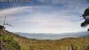 ./images/calvert/fitz-hugh-hecate/20260614/fitz-hugh-hecate20260614_183502M.jpg