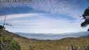 ./images/calvert/fitz-hugh-hecate/20260614/fitz-hugh-hecate20260614_184001M.jpg