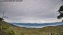 ./images/calvert/fitz-hugh-hecate/20260614/fitz-hugh-hecate20260614_193502M.jpg