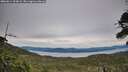 ./images/calvert/fitz-hugh-hecate/20260614/fitz-hugh-hecate20260614_203002M.jpg