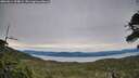 ./images/calvert/fitz-hugh-hecate/20260614/fitz-hugh-hecate20260614_204001M.jpg