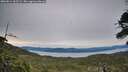 ./images/calvert/fitz-hugh-hecate/20260614/fitz-hugh-hecate20260614_205502M.jpg