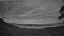 ./images/calvert/fitz-hugh-hecate/20260615/fitz-hugh-hecate20260615_043501M.jpg