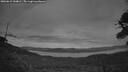 ./images/calvert/fitz-hugh-hecate/20260615/fitz-hugh-hecate20260615_044001M.jpg