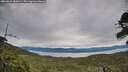 ./images/calvert/fitz-hugh-hecate/20260615/fitz-hugh-hecate20260615_085001M.jpg