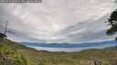./images/calvert/fitz-hugh-hecate/20260615/fitz-hugh-hecate20260615_095502M.jpg