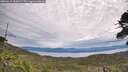 ./images/calvert/fitz-hugh-hecate/20260615/fitz-hugh-hecate20260615_101001M.jpg