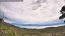 ./images/calvert/fitz-hugh-hecate/20260615/fitz-hugh-hecate20260615_103001M.jpg