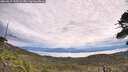./images/calvert/fitz-hugh-hecate/20260615/fitz-hugh-hecate20260615_103501M.jpg