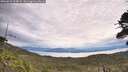 ./images/calvert/fitz-hugh-hecate/20260615/fitz-hugh-hecate20260615_104001M.jpg