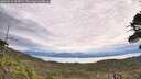 ./images/calvert/fitz-hugh-hecate/20260615/fitz-hugh-hecate20260615_104501M.jpg