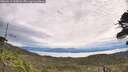 ./images/calvert/fitz-hugh-hecate/20260615/fitz-hugh-hecate20260615_105002M.jpg